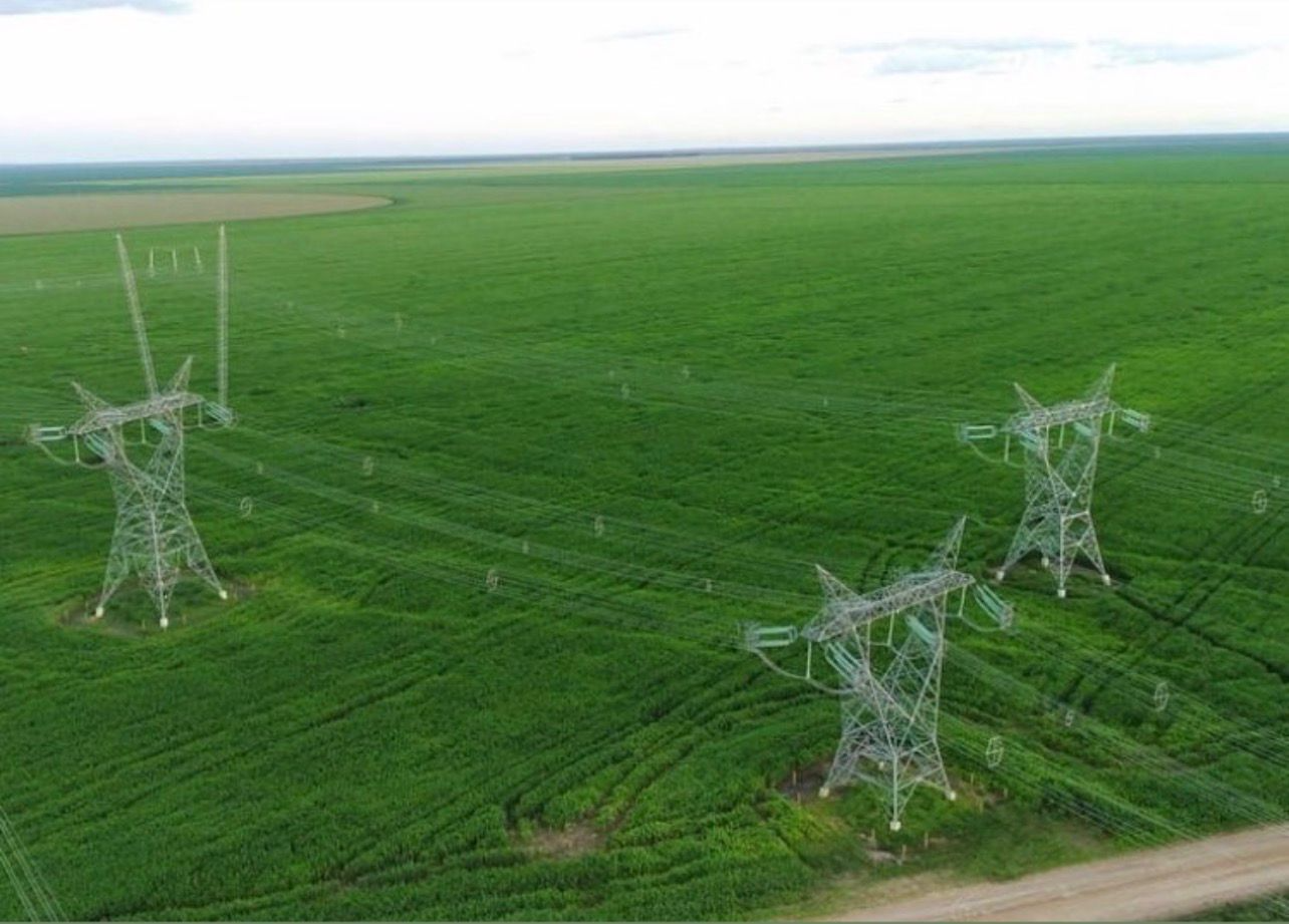 Linhas de transmissão vistas por drone sobre área verde